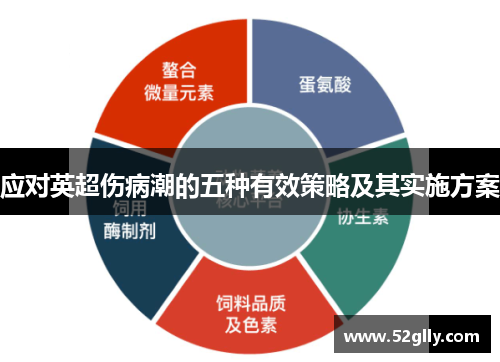 应对英超伤病潮的五种有效策略及其实施方案