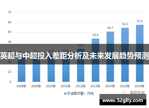 英超与中超投入差距分析及未来发展趋势预测