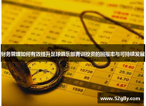 财务管理如何有效提升足球俱乐部青训投资的回报率与可持续发展 财务管理如何有效提升足球俱乐部青训投资的回报率与可持续发展